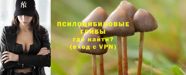 a pvp Каменка