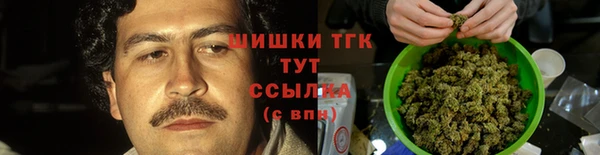 a pvp Каменка