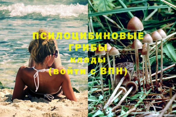 тгк Каменск-Шахтинский