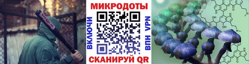 Псилоцибиновые грибы GOLDEN TEACHER  Купить  Алатырь 